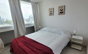 Luminoso Departamento Zona Plaza Paso by Lofter